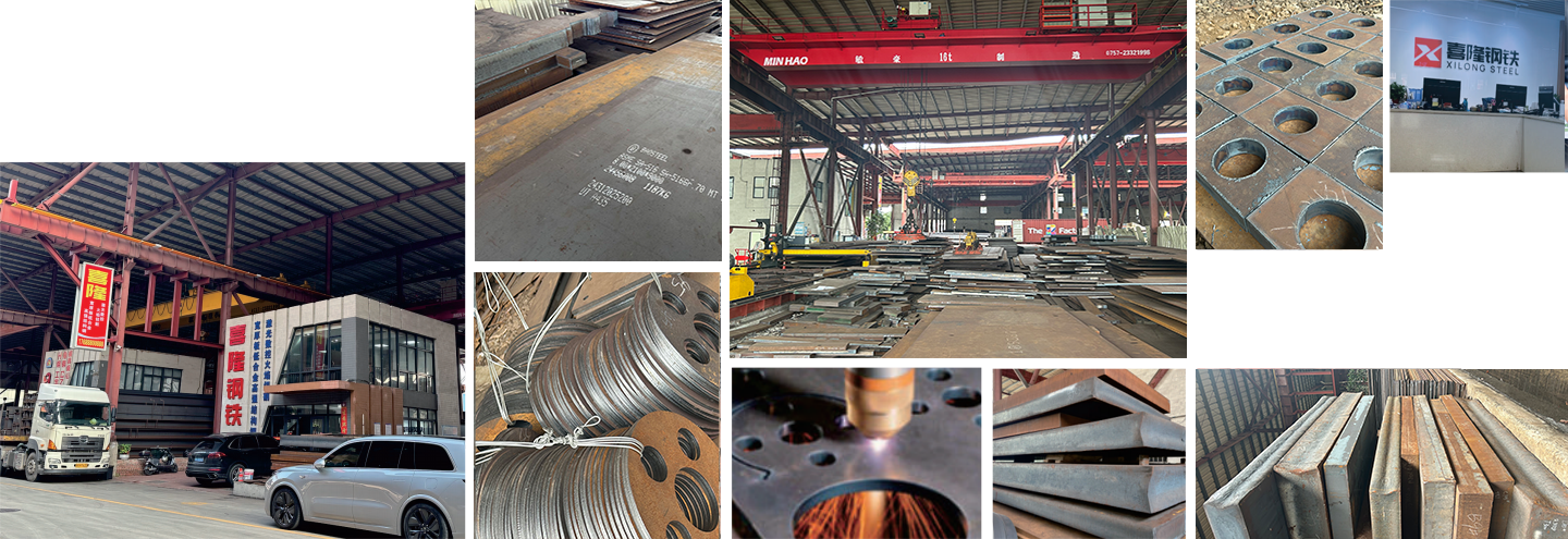 Guangdong Xilong Trading